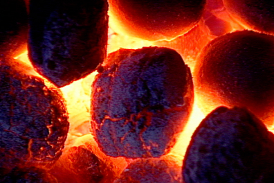 Cycle du carbone - Bilan - 2 mn 26s